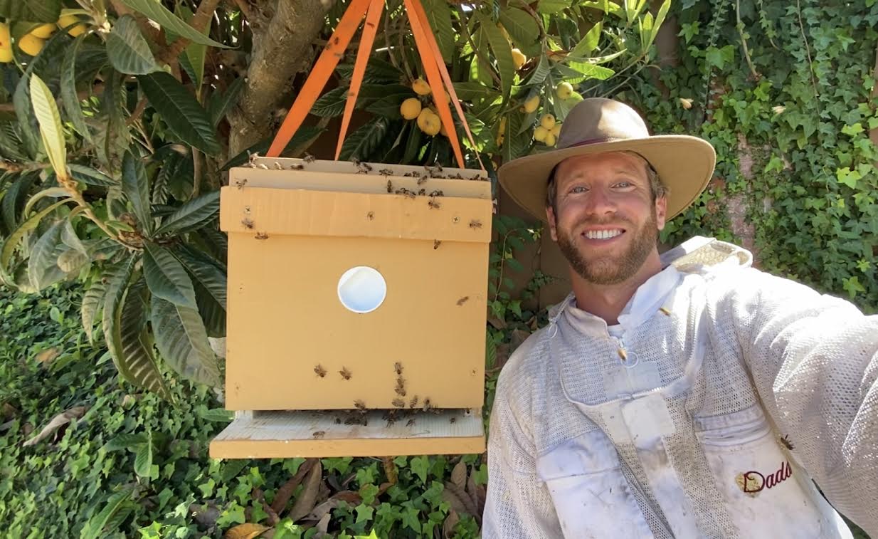 Bee beekeeper